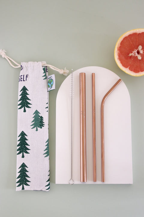 Stainless steel straw set
